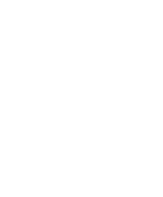 triangle-white1